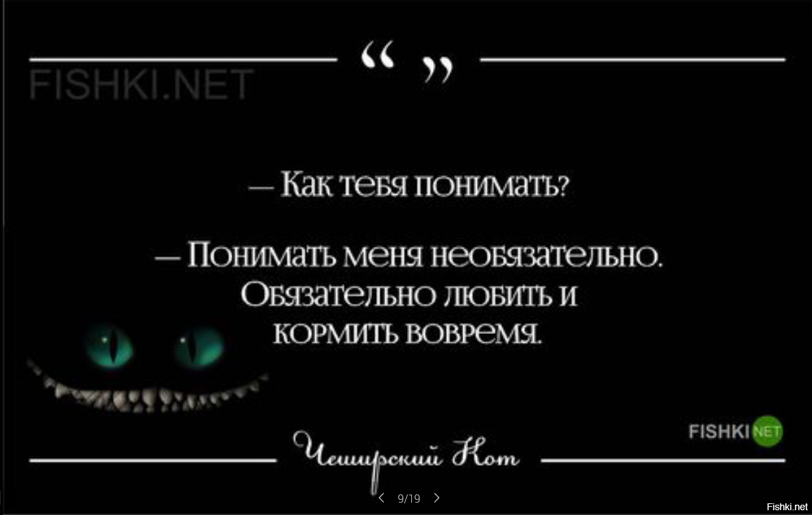 Где глупость образец там разум безумие значение