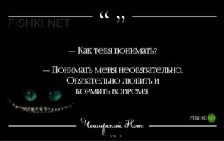 Мы в ответе за тех, кого приручили. ©