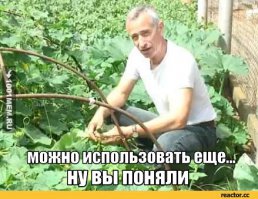 Волшебные свойства лаврового листа, о которых ты наверняка не знал