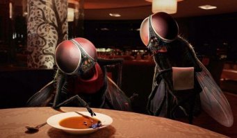 Съёмочную группу программы "Ревизорро" жестоко избили на Ямале