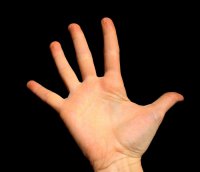 время встречался с девушкой по имени Мэдисон Бамгернер.

Она?