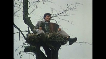 Безумно красивые сцены из знаменитых фильмов