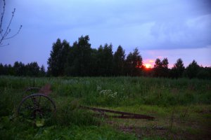 В деревне этим летом