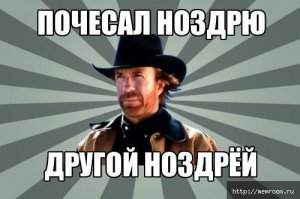 10 лучших фильмов Чака Норриса (11 фото)