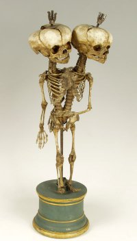 а вот ещё один (или два) .... а в кунсткамере есть ещё две-три сотни инопланетян...правда ведь?