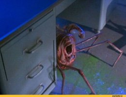 теперь все стало ясно!)