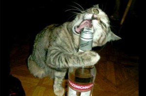 200 грамм водки