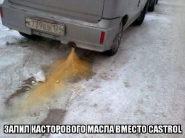 Автоприколы
