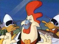 Канадский дантист спас орла