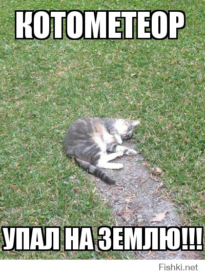 Немного Котэ