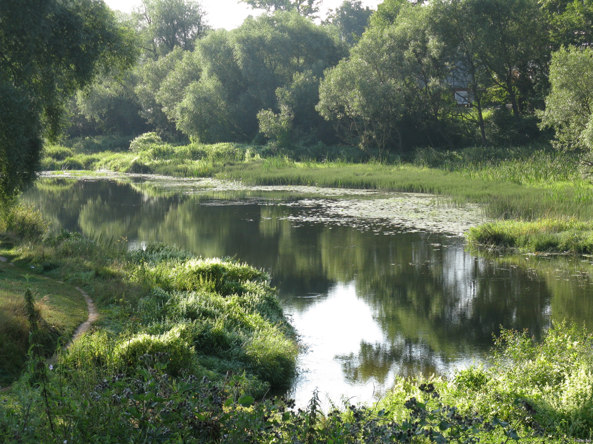 река ворона тамбовской области