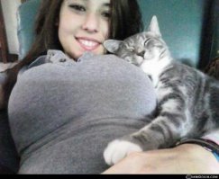 Девушки и их кошки