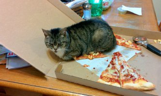 Мне кажется, что этому абсолютно по барабану поймут - не поймут, простят - не простят... )))