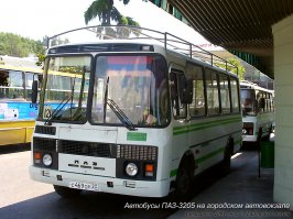 Да, в стране бесконечное число красивейших мест. А тут ещё и виден труд наших предков, которые почти в ручную строили такие дороги в горах, прогрызаясь через скалы.
Опасно там было ездить. Помню, за пару лет до закрытия, там женщину убило камнем. Не помню, из какого города они приехали на своей машине. Решили поехать в Красную Поляну. Где-то камень сорвался, пробил крышу машины и убил женщину.
Поэтому туристические автобусы, туда ездящие, сеткой оборудовали, чтобы камни отбрасывать от крыши. На фото не экскурсионный автобус, а обычный маршрутный, но ходящий в горные посёлки. Вот такие сетки устанавливали. Сейчас не ставят.