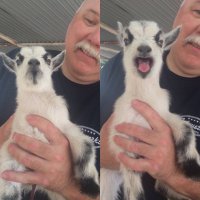 Я даже знаю, за что он его схватил