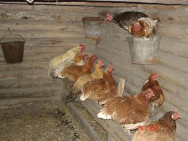 Так будет поинтересней