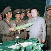 10 разновидностей огурцов, о которых вы даже не слышали