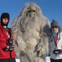 29 потрясающе красивых животных-альбиносов 