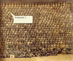 Фотоаппарат гигант