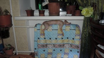 у нас корниш. тоже любимое место - батарея)