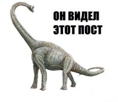 Вор-неудачник в автобусе