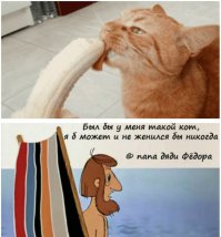 Девушки и их кошки