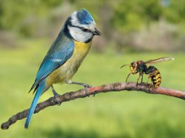45 фотографий, поражающие тем, насколько вовремя они сделаны