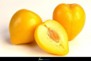 История выращивания помидор

В Южной Америке начали выращивать помидоры примерно 8-9 тысяч лет назад племена местных индейцев. Растение с красивыми резными листьями темно-зеленого цвета и яркими круглыми плодами привезли в Европу испанцы и португальцы еще в XVI веке. У себя на родине на языке индейского племени они назывались "томатль", что значит "крупная ягода". Вот откуда пошло название "томат". Их не употребляли в пищу, считали несъедобными. Из Испании и Португалии томаты попали во Францию. Пылкие французы за яркую окраску помидора и форму, напоминающую сердце, назвали эти плоды по-своему – яблоко любви. Итальянцам новые плоды тоже понравились. Но первые томаты были здесь желтого цвета и поэтому назывались "золотые яблоки"( Название помидор происходит от итал. pomo d'oro — золотое яблоко). Шведский натуралист Карл Линней, давший названия многим растениям, назвал помидоры волчьими персиками. В Европе томаты долгое время были только декоративными растениями, их разводили исключительно ради яркой пышной зелени и красочных плодов.