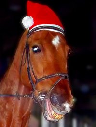 На моей аватаре - такие же