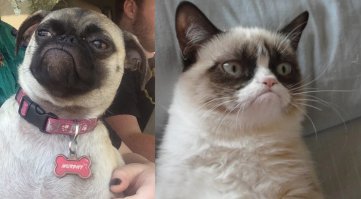 Они нашли друг друга.))