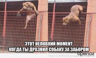 Ану сюда иди