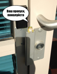 Веселые Лягухи