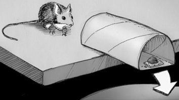 Распространение Windows 10 в РФ незаконно