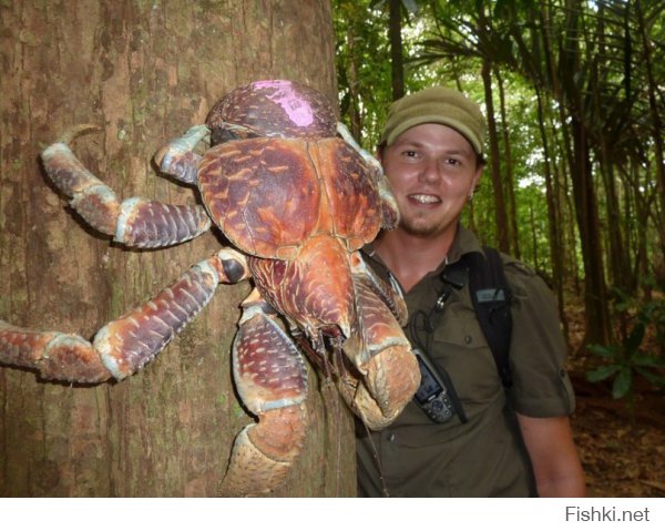 во нервы у чувака!