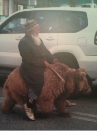 Две сплошные? Встречка? Мне пох, я на медведе!