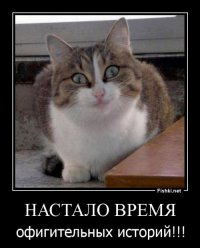 Охрана Икеи страх потеряла