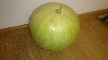 Вчера купил, сорт наз-ся "Мраморный", поздний, слаще своих собратьев.