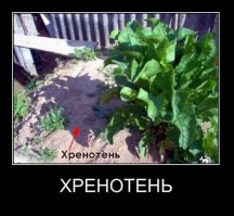 Я у мамы инженер 2. Лучшее по версии пользователей Fishki.net