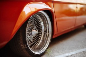 По-моему сквозь асфальт пробивается кустик конопли