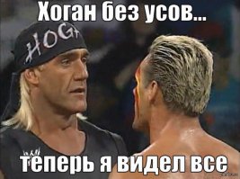 Лучшие фильмы с участием Халка Хогана 