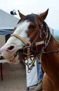 Есть без полицейского