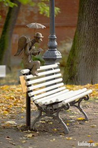 Фотоподборка за 11.08.2015