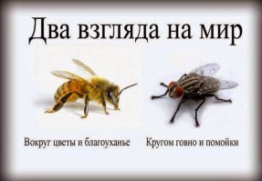 Подумал про эту фотку после вашего коммента.