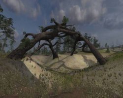 это ж соснодуб из S.T.A.L.K.E.R