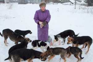 слышала в "проклятой" Европе за такое огромные штрафы