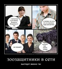 Проект о бездомных животных, который затронет каждого до глубины души