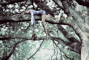 На дереве жить сможет