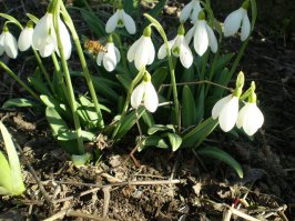 Здорово!!!  
 Фото сделано 28 февраля 2012 года