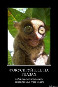 Уже выполняю советы!