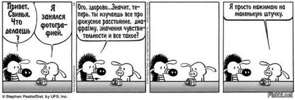 Абсолютно всё, что нужно знать новичкам и любителям о фотографии